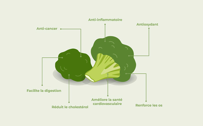 Les bienfaits du brocoli